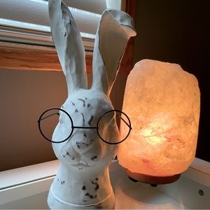 Hobby Lobby Bunny with Glasses